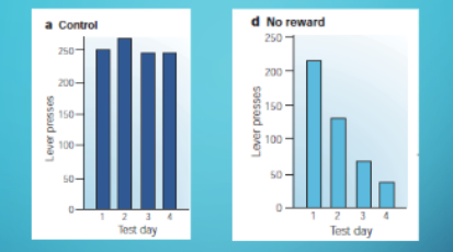 <p>what do these graphs represent?</p>