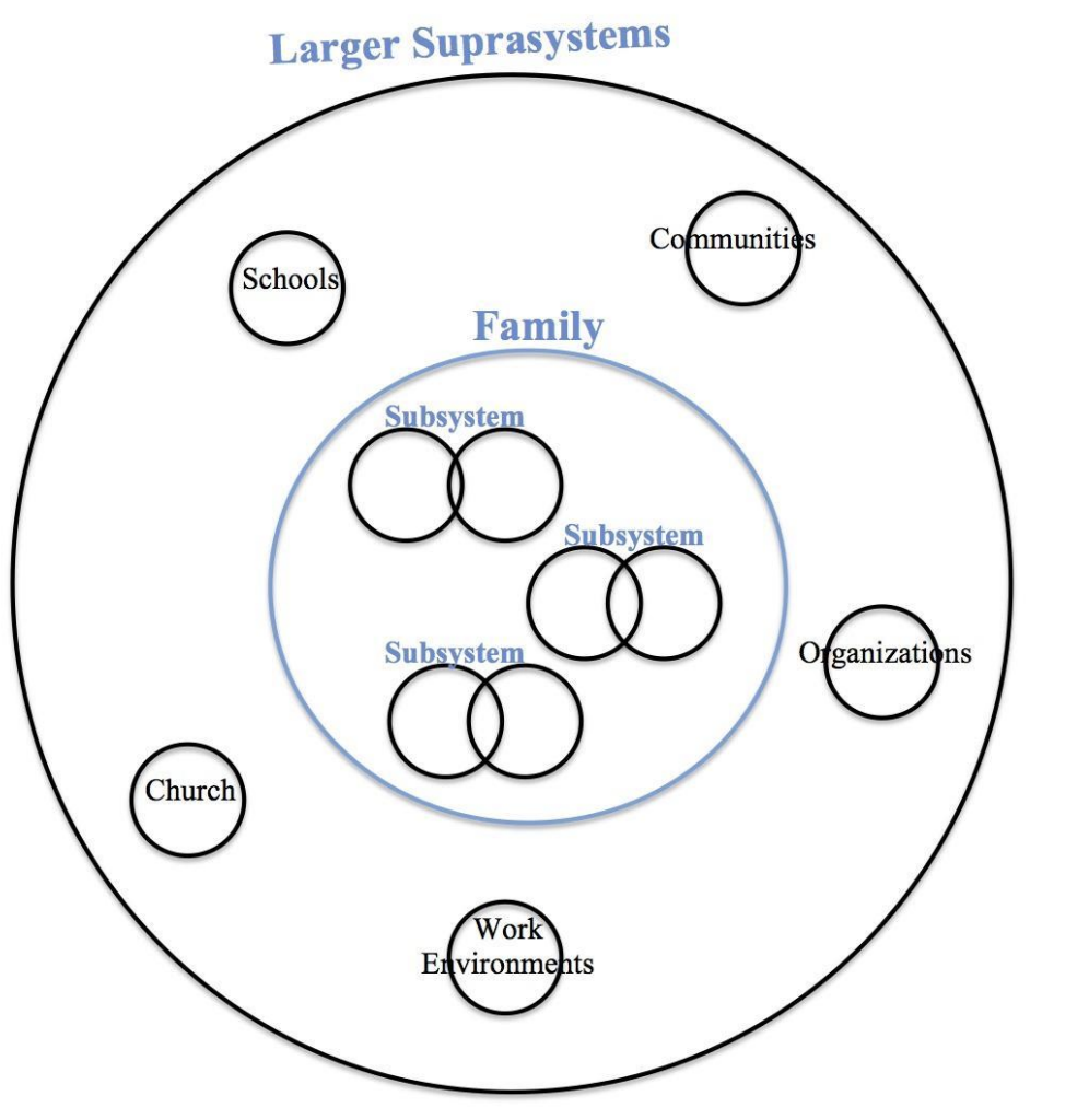 <p>What is the systems theory?</p>