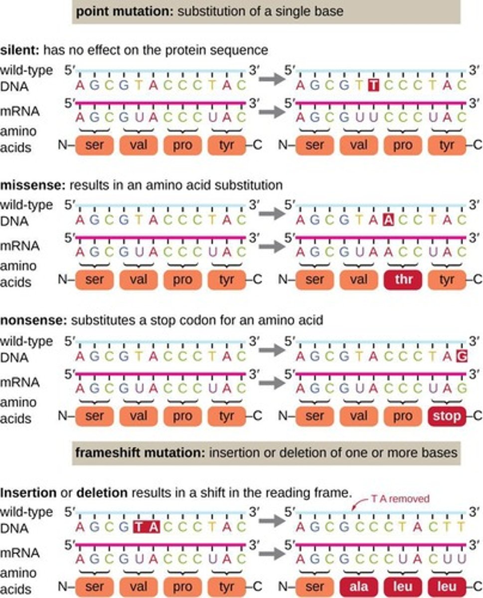 <p>Change of a single nucleotide in DNA.</p>
