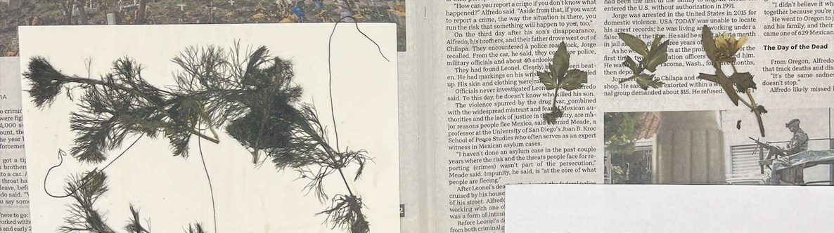 <p>plant?</p>