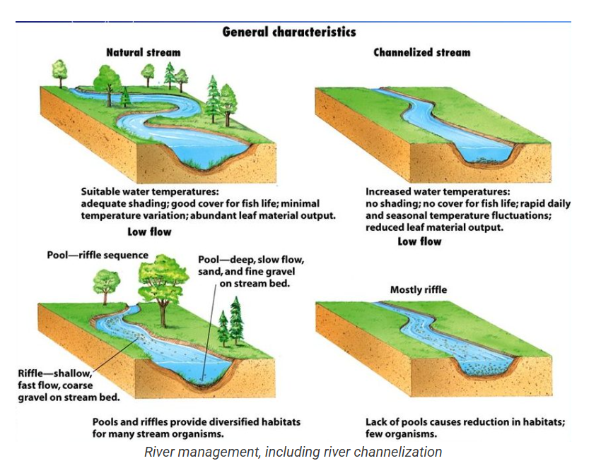<p>Friction slows water flow </p><p>Reduce friction, straighten the path. </p>