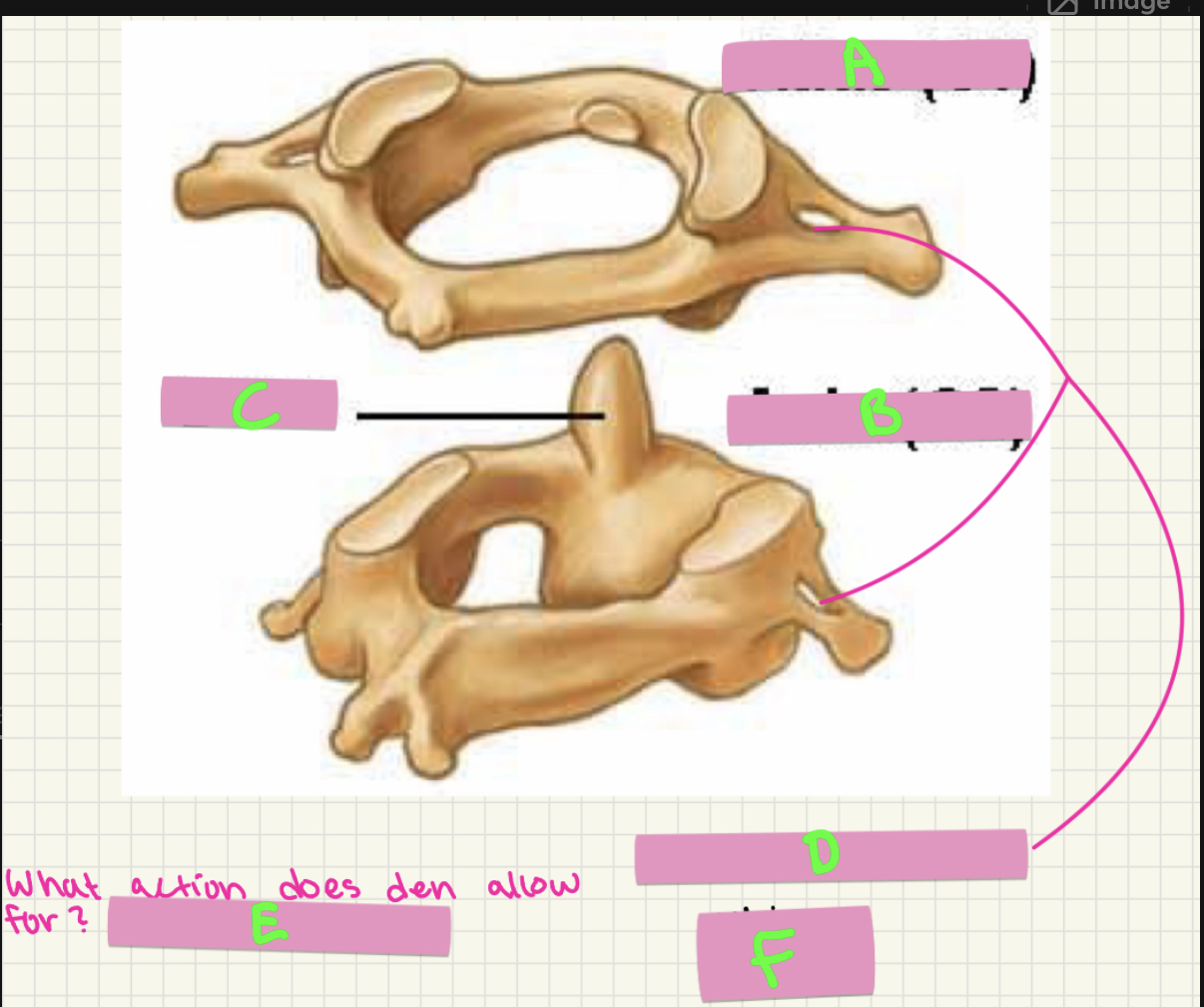 <p>WHat’s E?</p>