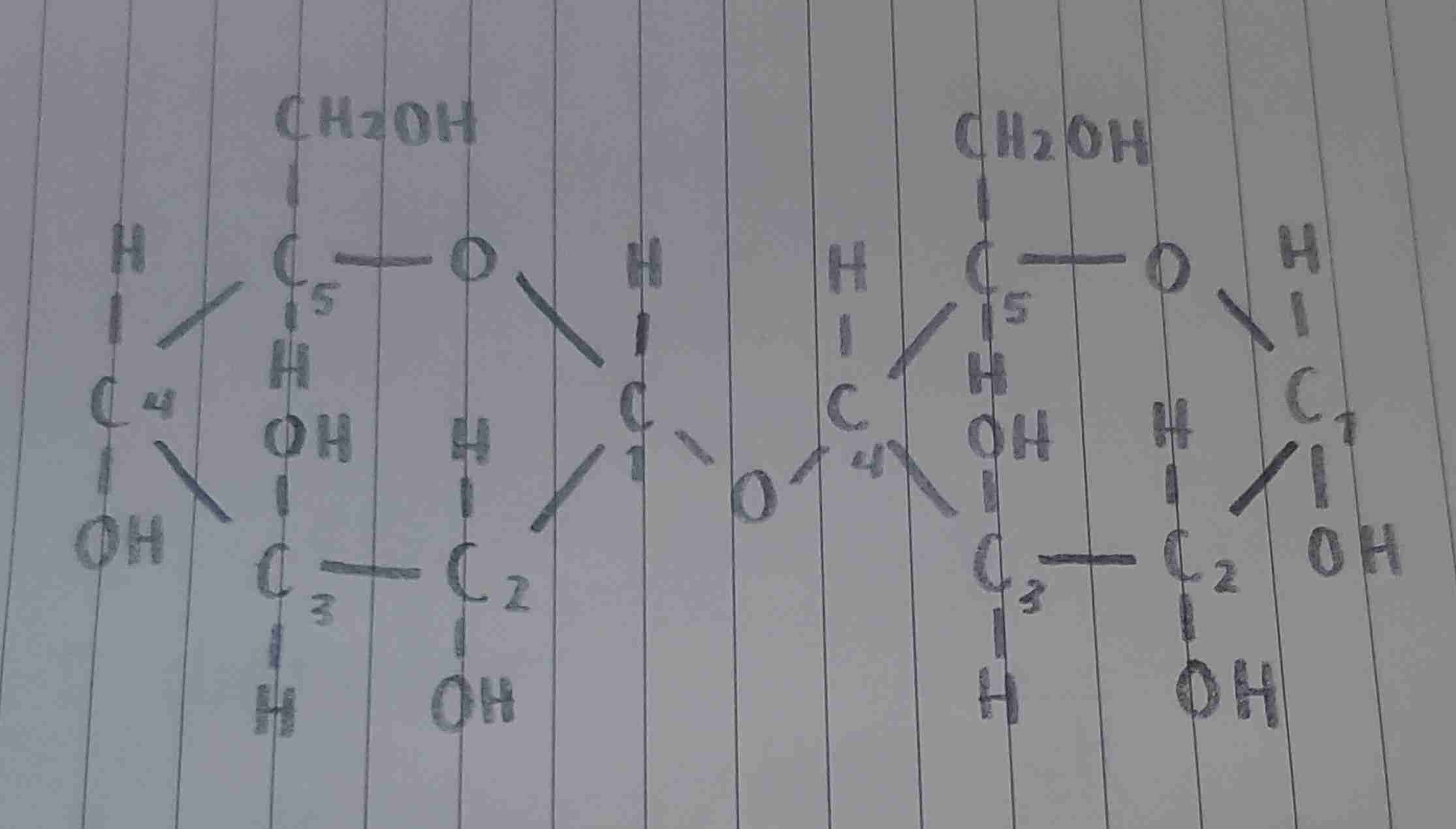 <p>where is the acetal located?</p>