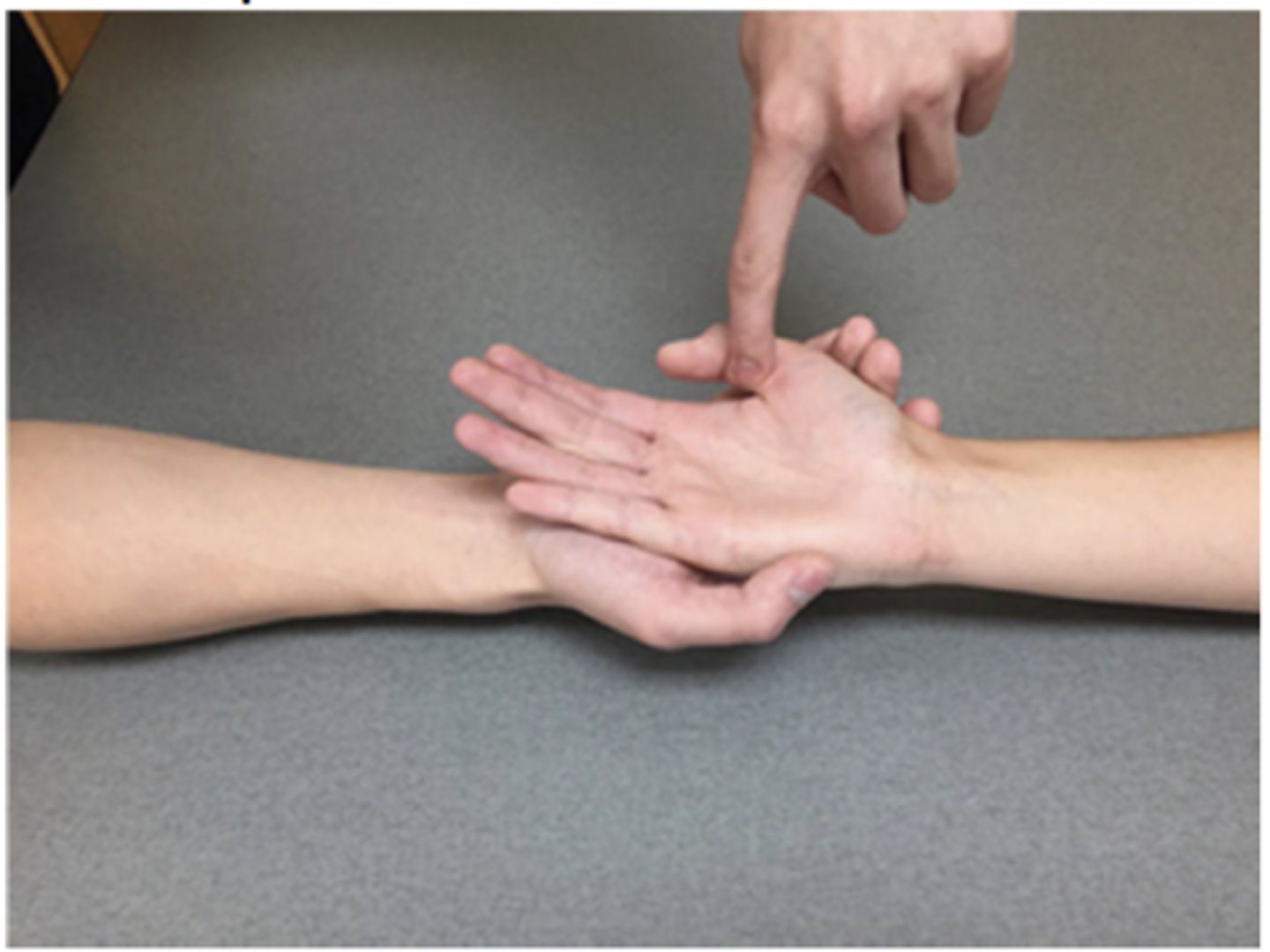 <p>Patient Position: Forearm in resting supination on a towel. Thumb in front of palm</p><p>Palpation: Volar proximal phalanx (FPL)</p><p>Compensations: Wrist ulnar deviation, Thumb MCP flexion, &amp; Thumb CMC flexion</p>