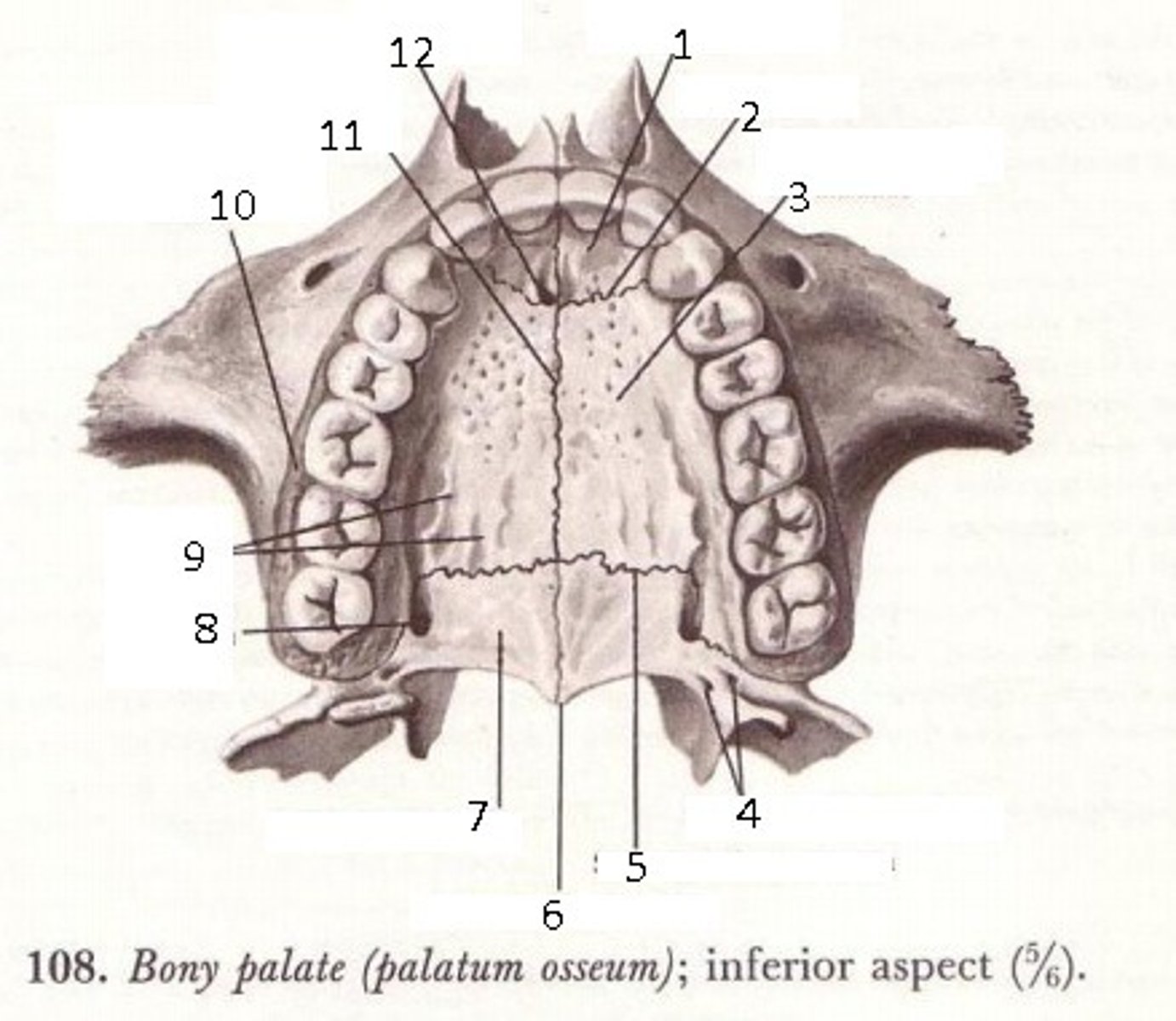 <p>1</p>