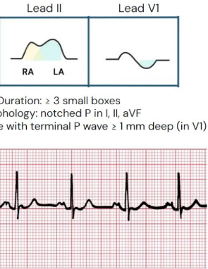 <p>What does this describe</p>