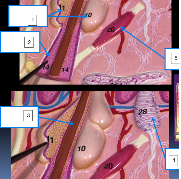 <p>1</p>