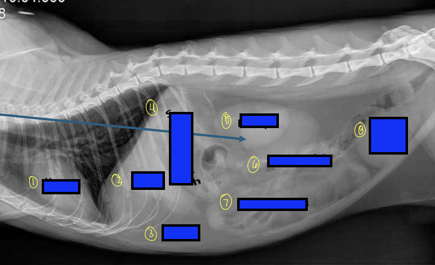 <p>what is 1?</p>