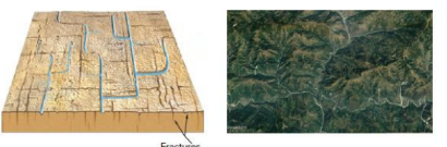 <p>tributaries have frequent 90 degree bends </p>