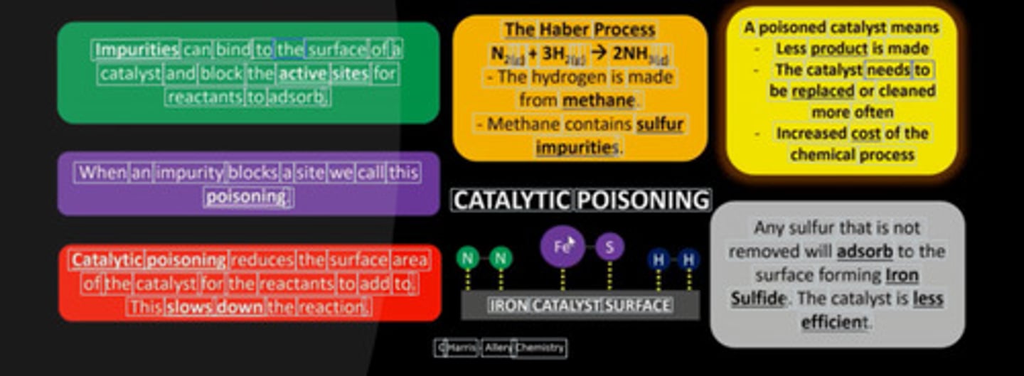 <p>- Impurities adsorb to surface and block active sites</p><p>- Reduces SA and reaction rate</p><p>- Increases operating costs due to less product</p><p>- Eg; sulfur (from H₂) poisons Fe in Haber process</p>