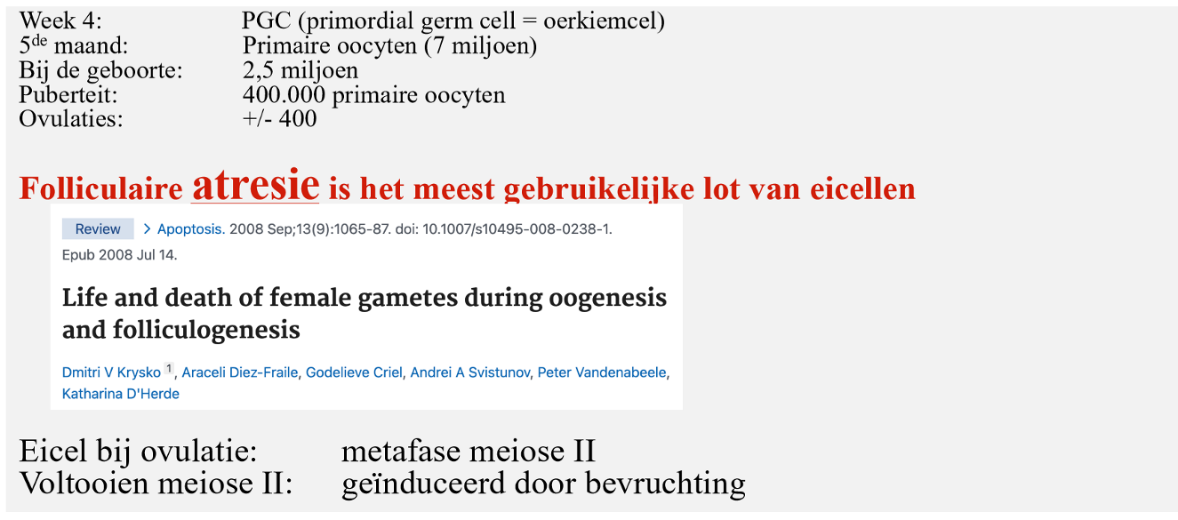 <p><strong>gametogenese: </strong>ontwikkeling in het ovarium van primordiale follikels tot Graafse follikel &amp; de ovulatie &amp; luteale fase</p>