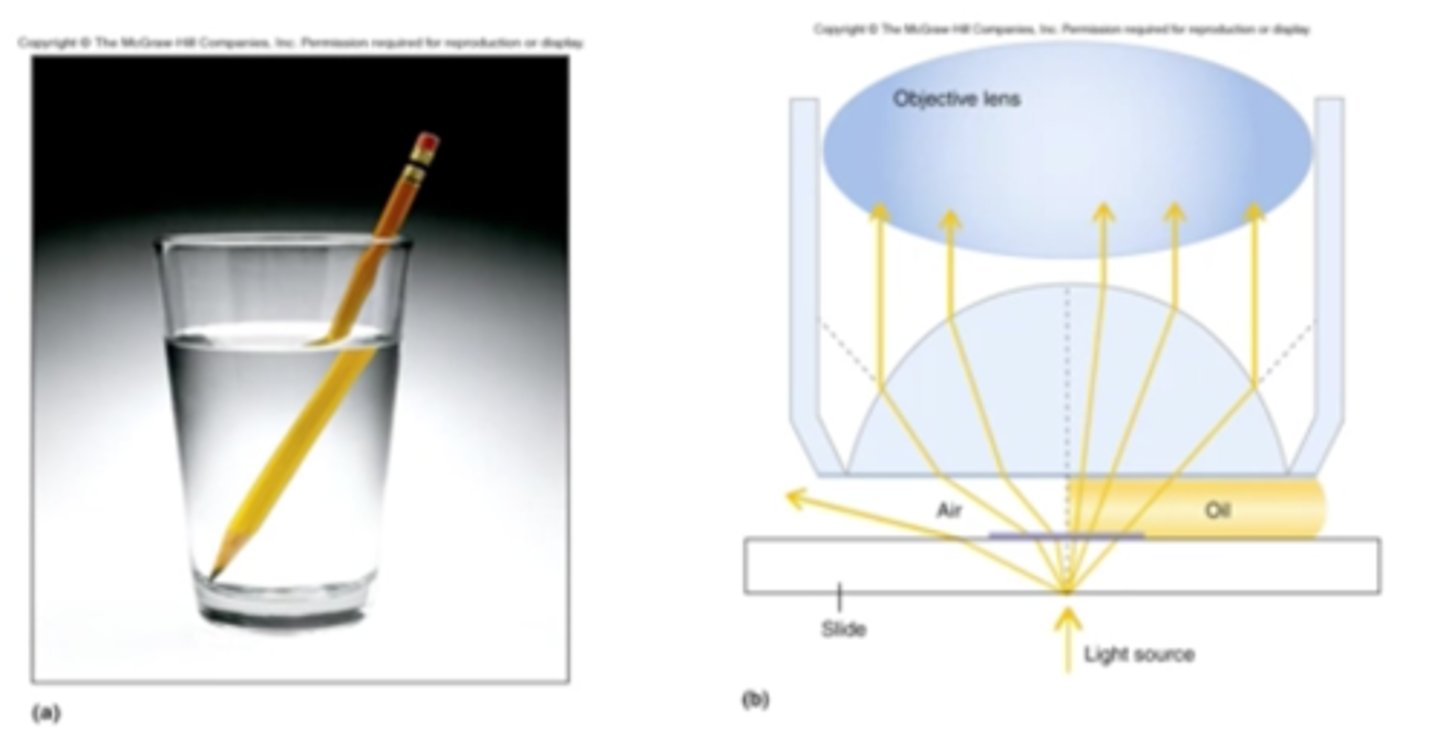 <p>This lens has a high NA that needs oil to minimize the light refracted away from the lens. This is important since the image we view is made of this light so any light not reaching the lens will decrease the clarity of the image (resolution). Oil has a refractive index that is similar to glass (slide and lens)</p>
