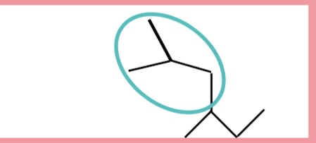 <p>4 carbon </p>