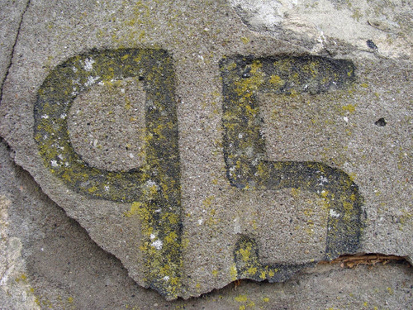 <p>noventa y cinco</p>