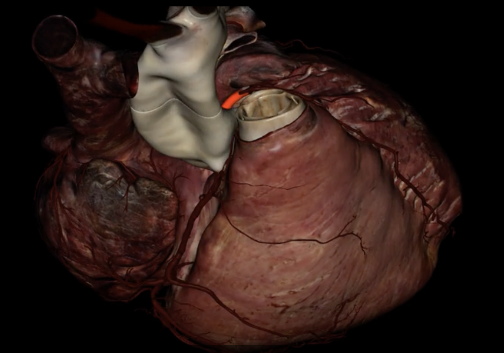 <p>What is highlighted in red?</p>