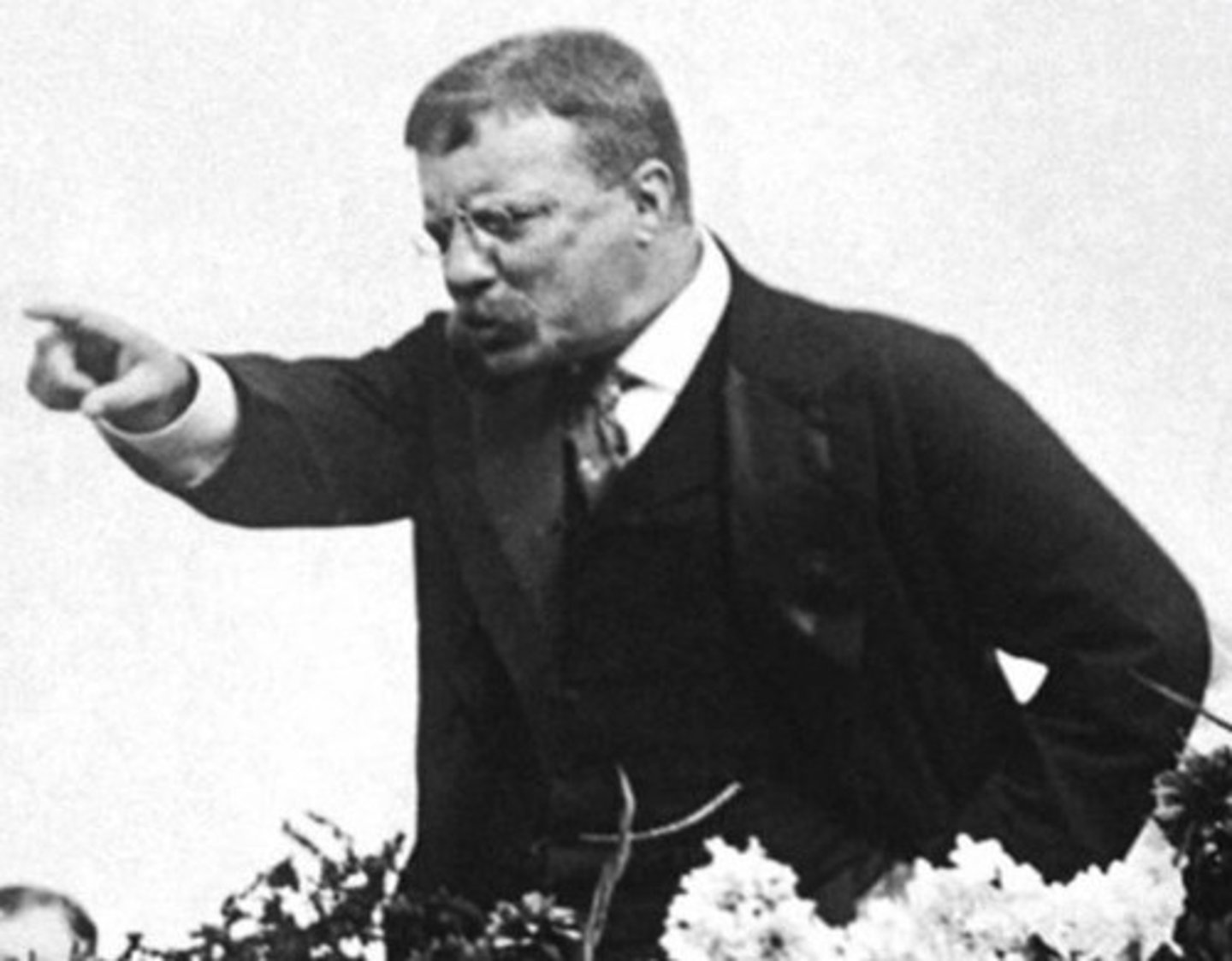 <p>TR saw White House as this</p>