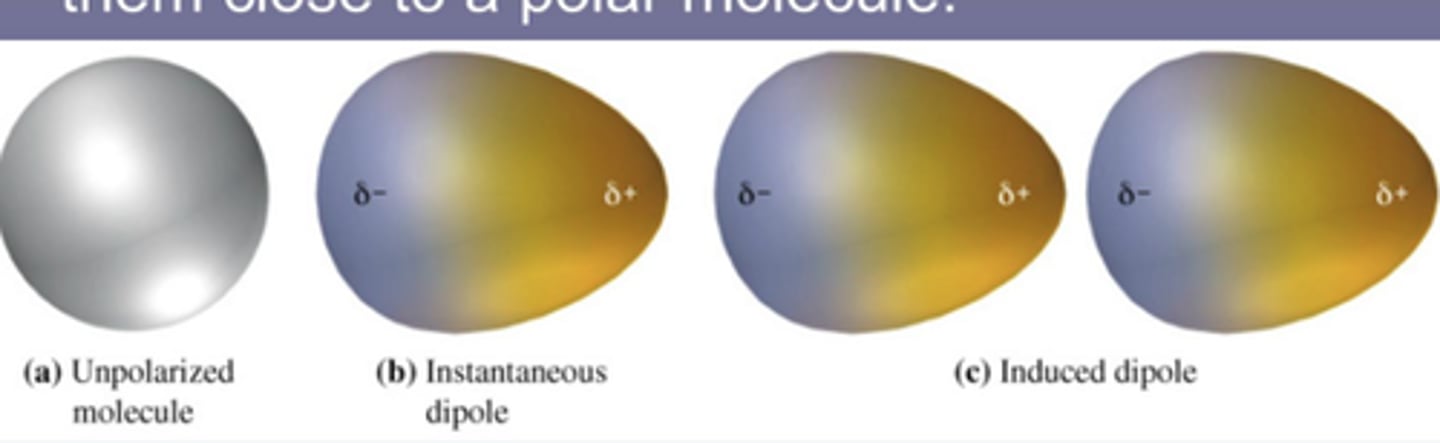 <p>- in all molecules but most significant in nonpolar molecules</p><p>- nonpolar particle is temporarily polarized (induced dipole) due to constantly moving electrons within atomic radius</p>