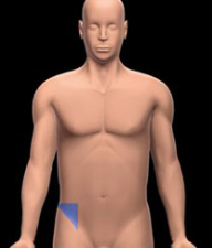 <p>Beneath the right lumbar region, containing the appendix and parts of the large intestine. </p>