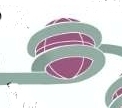 8 histones + DNA 