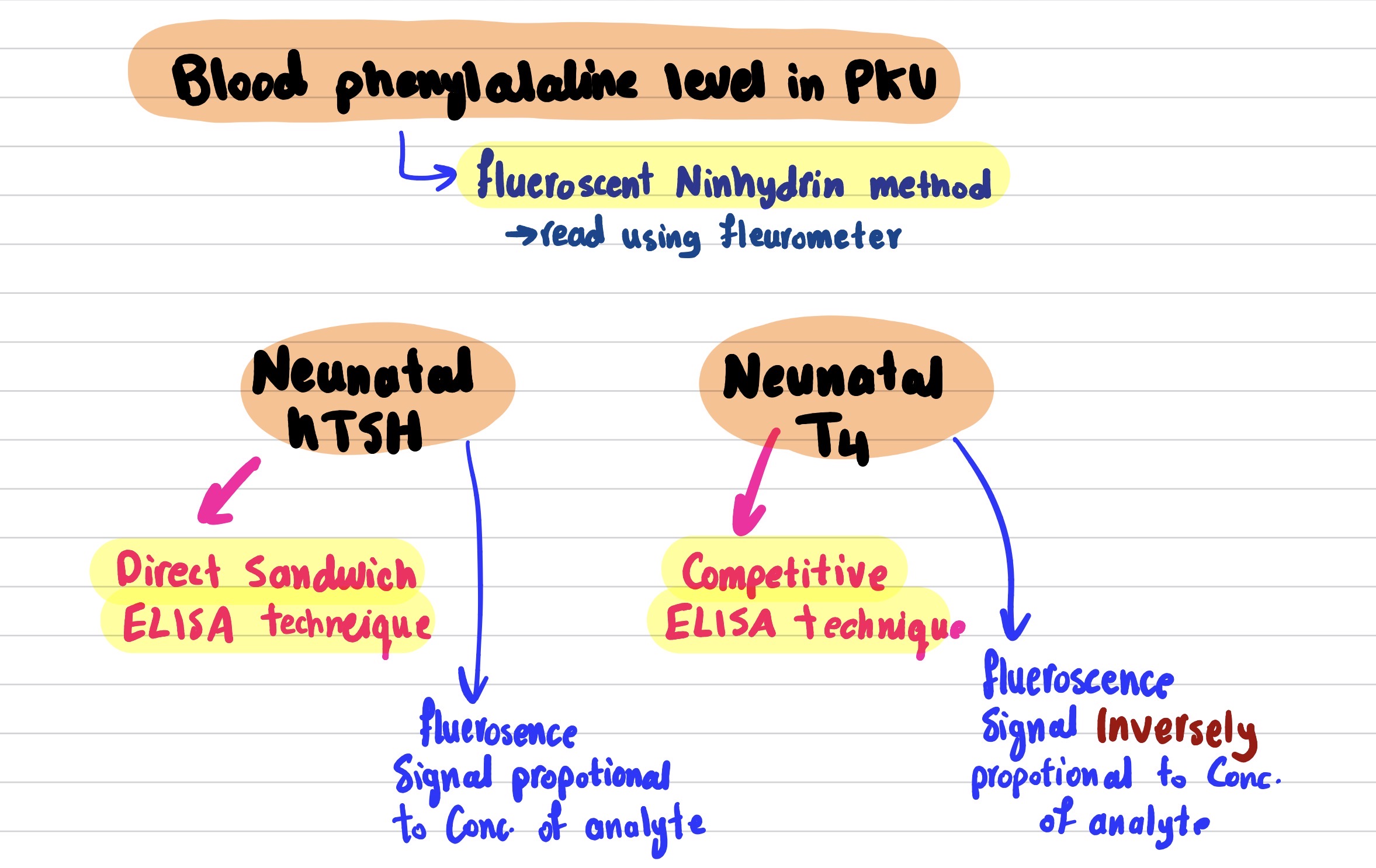 knowt flashcard image
