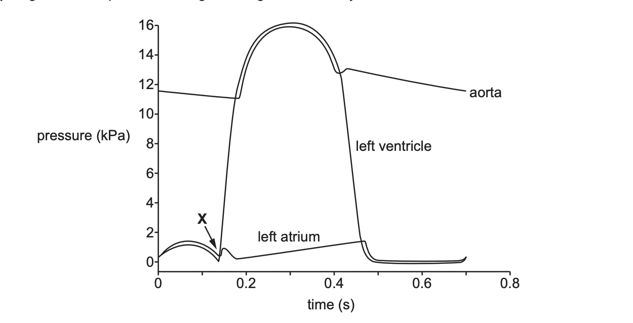 Compare the changes in pressure in the LV with the changes in pressure with the LA