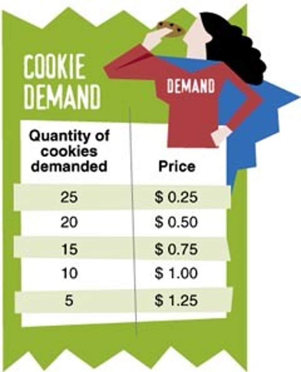 <p>a listing of how much of an item an individual is willing to purchase at each price</p>