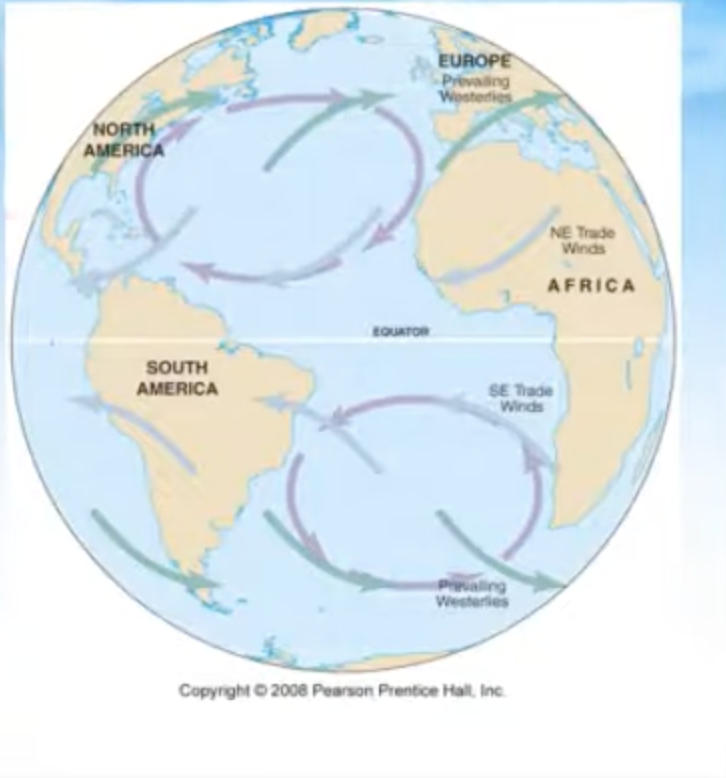 <ul><li><p>Subtropical gyres - Centered about 30 degrees N or S</p></li></ul><ul><li><p>Equatorial current</p></li><li><p>Western Boundary currents</p></li><li><p>Eastern Boundary currents</p></li></ul><p></p>