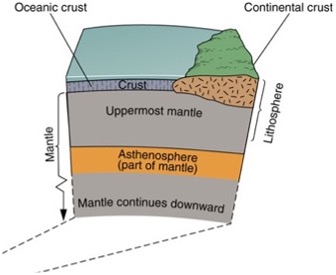 <p>Asthenosphere</p><p><span>o&nbsp;&nbsp; </span>Thin, hot, elastic semi-liquid layer in the upper mantle</p><p>Lithosphere</p><p><span>o&nbsp;&nbsp; </span>The solid layer above the asthenosphere</p>
