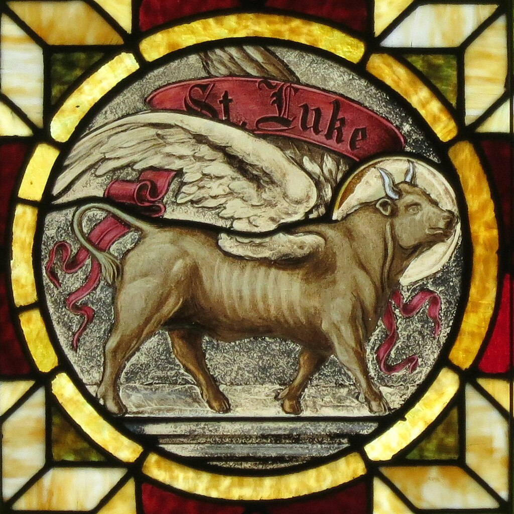 <p><strong>Byk lub wół</strong></p>