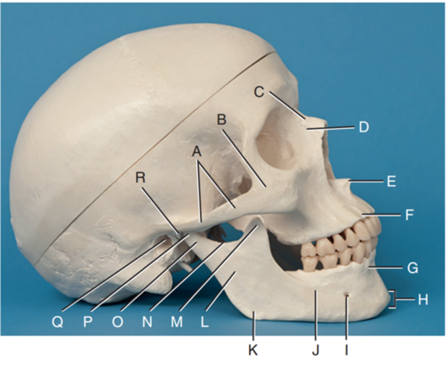 <p>Label N</p>