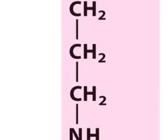 <p>Positively charged R groups</p>