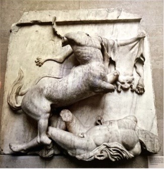 * This metope depicts a very different scene from the previous two ​
* Instead of showing the centaur and lapith mid-fight it shows the victory of a centaur who rises above his victim 
* The lapith lies contorted on the floor seemingly writhing in pain ​
* His legs are bent at the knee, his torso is flung upwards but his head falls to the ground clearly devoid of any further energy 
* centaur holds animal skin - barbaric
* fills space with outstretched arms of centaur and lying body of Lapith, as well as animal skin covering space