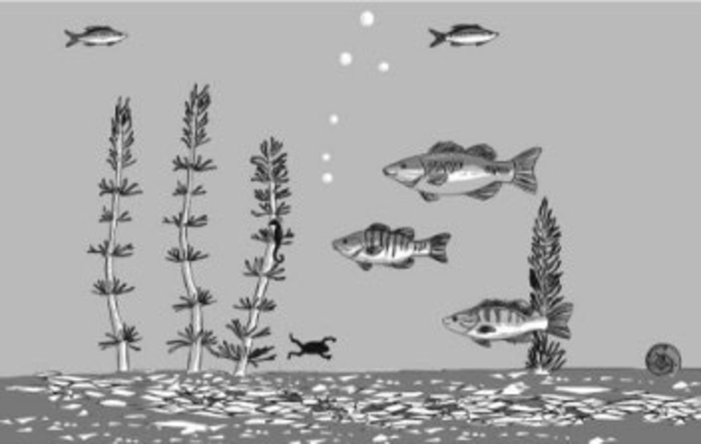 <p>Differences in attention between american and japanese. 1st task Had to identify as many objects as possible. American focused on focal points while japanese focused on background.</p><p>2nd task- recognize objects with same, different, or no background. Japanese recognition went down with no/ different background.</p>