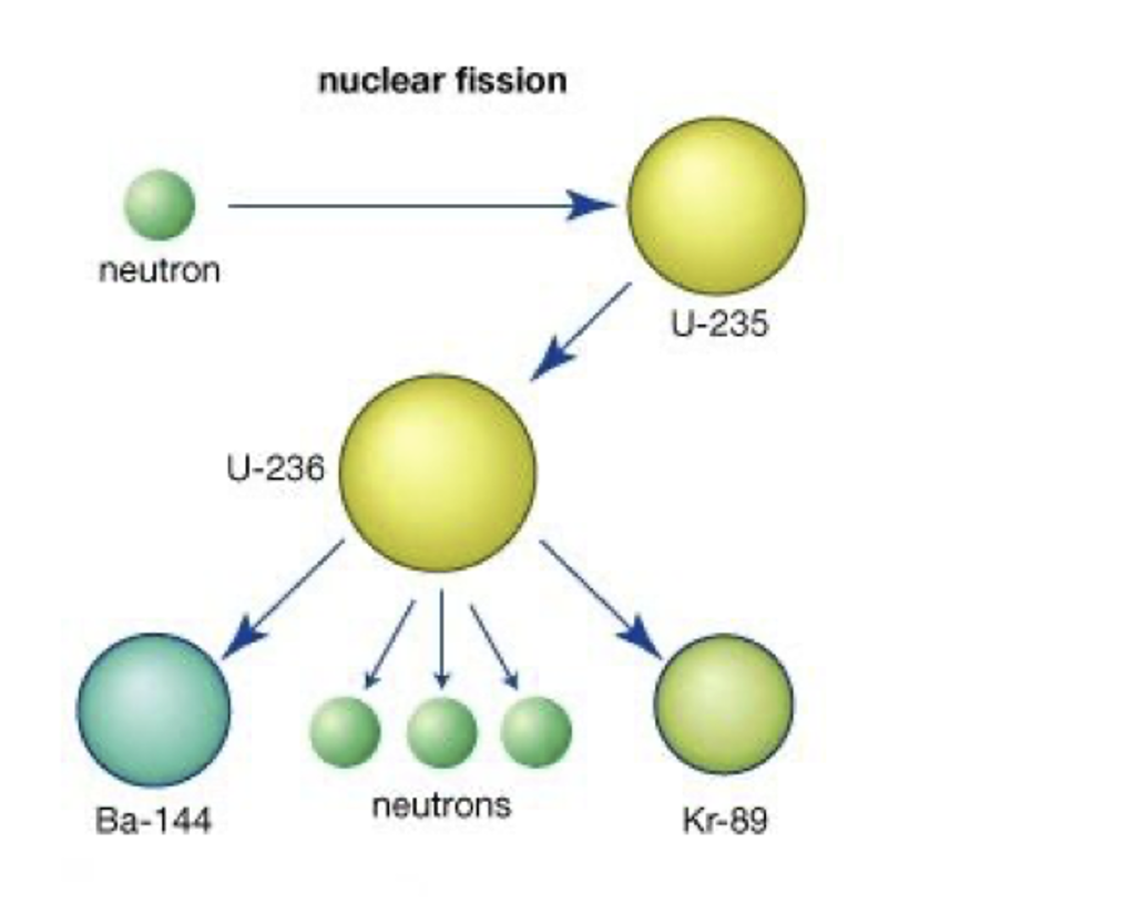 <ul><li><p>When slow moving neutrons are absorbed by massive nuclei.</p></li><li><p>Causing them to split into twl less massive daughter nuclei.</p></li><li><p>and 2 or 3 additional neutrons.</p></li></ul><p></p>