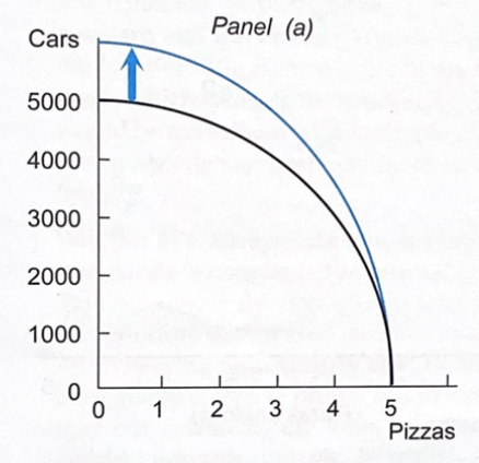 <p>Describe what panel A reflects</p>