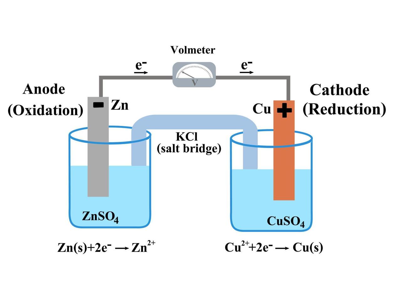 <ul><li><p>Beaker</p></li><li><p>Electrolyte</p></li><li><p>Volt meter</p></li><li><p>Arrow</p></li><li><p>Label electrode &amp; electrolyte</p></li><li><p>Salt bridge (label)</p></li><li><p>NaCl / KCl</p></li></ul><p></p><p></p><p></p><p></p>