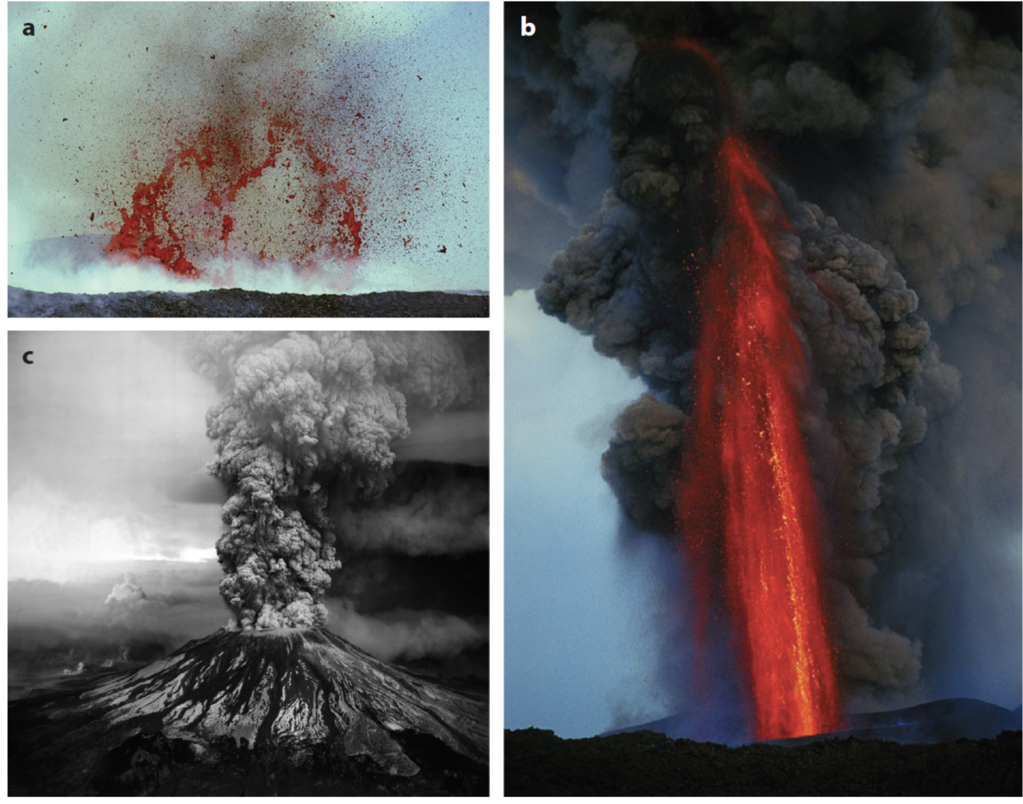 <p>Can you describe the bubbles in the image? </p>