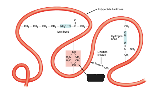 <p>What is being shown in the image?</p>