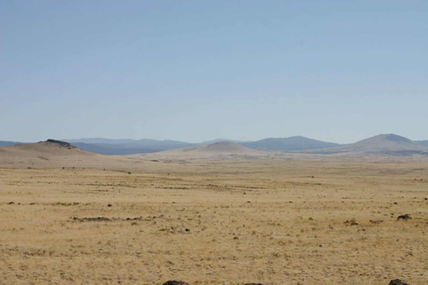 <p>a large area of flat land with few trees</p>