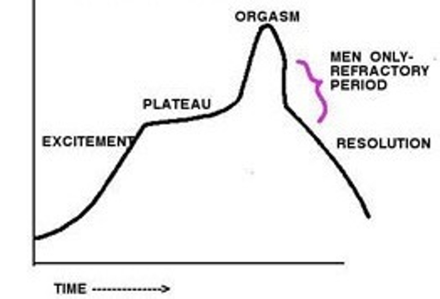 <p>explains sexual drive; Masters &amp; Johnson (1966); EXPLORRE: EXcite, PLateau, ORgasm, REsolution (4 phases); describes the sexual response of males and females</p>