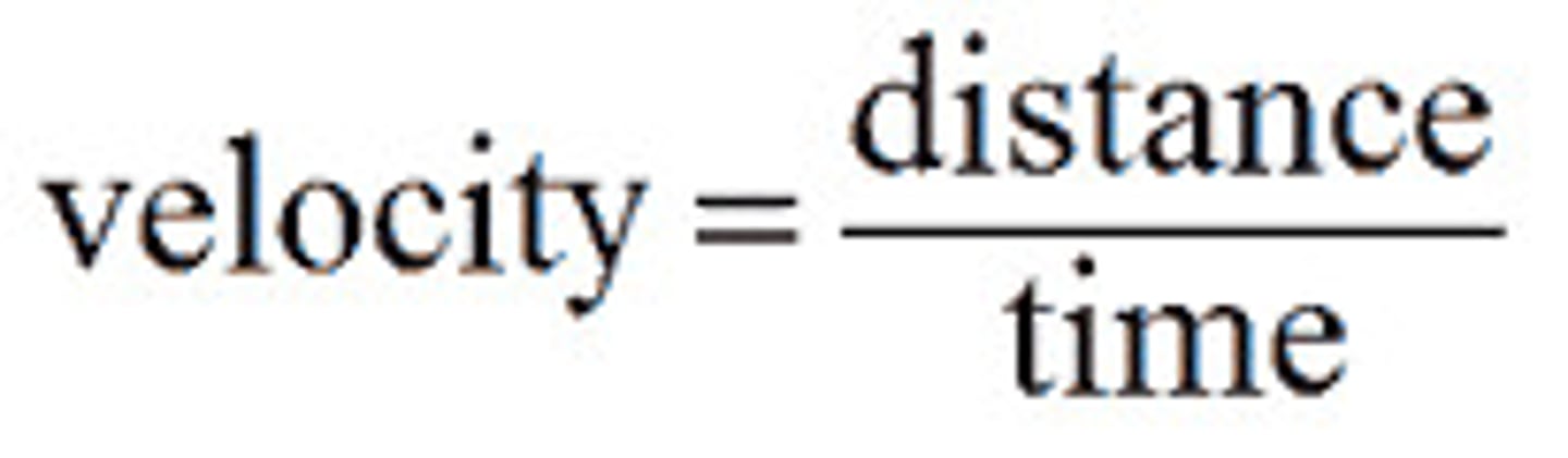 <p>v=d/t, direction</p>