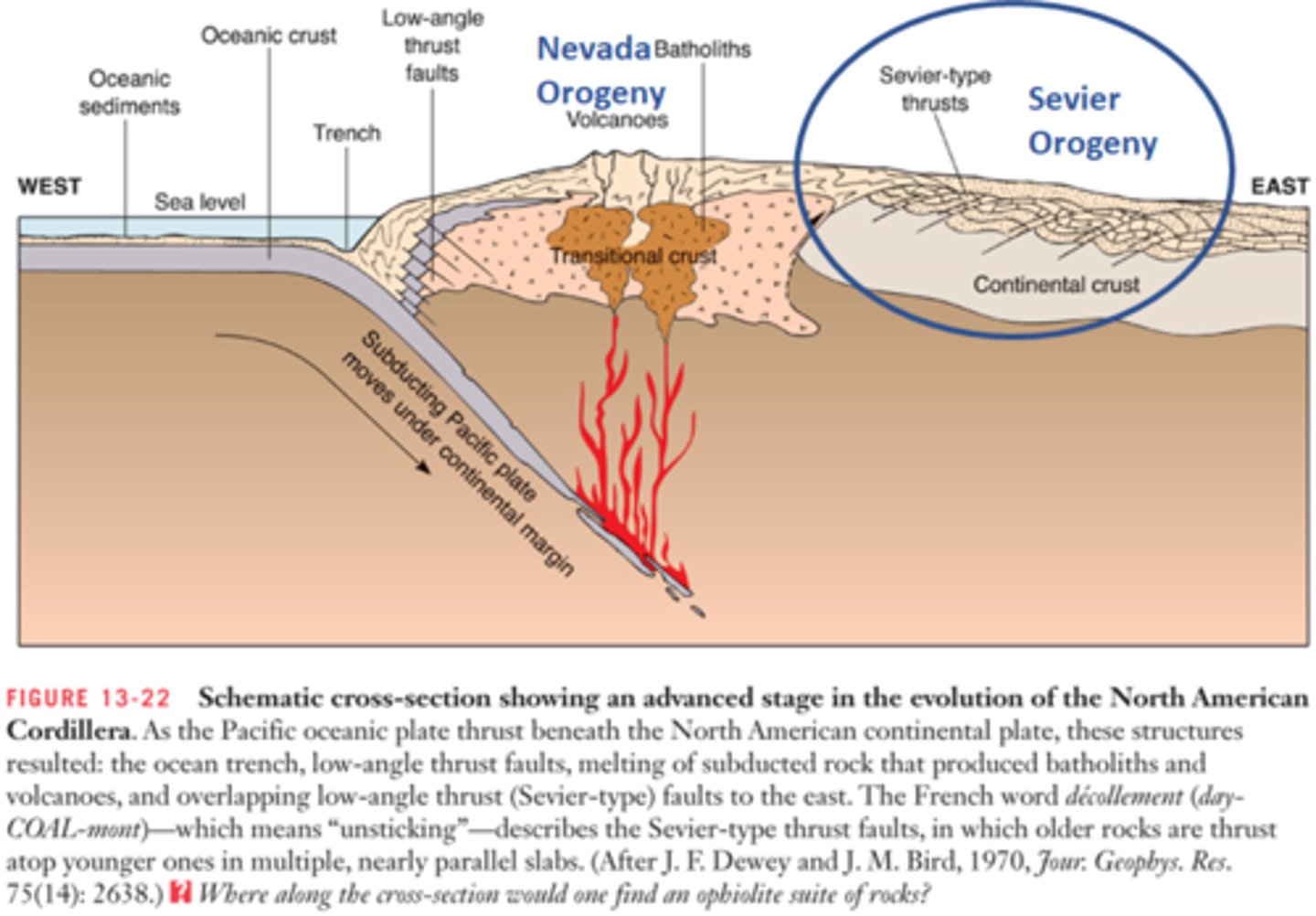 <p>A mountain-building event that affected western North America between about 150 Ma and 80 Ma, a result of convergent margin tectonism; a fold-thrust belt formed during this event.</p>