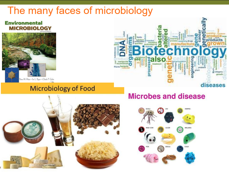 <p>They are everywhere like yeast and food to diseases or in your gut</p>