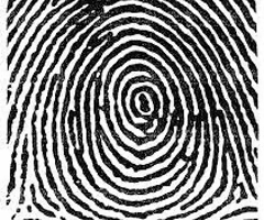 <p><span><span>Two deltas, a line drawn between the deltas goes through the central pocket</span></span></p>