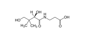 <p>Characteristics of Vitamin B5 (Pantothenic Acid)</p>