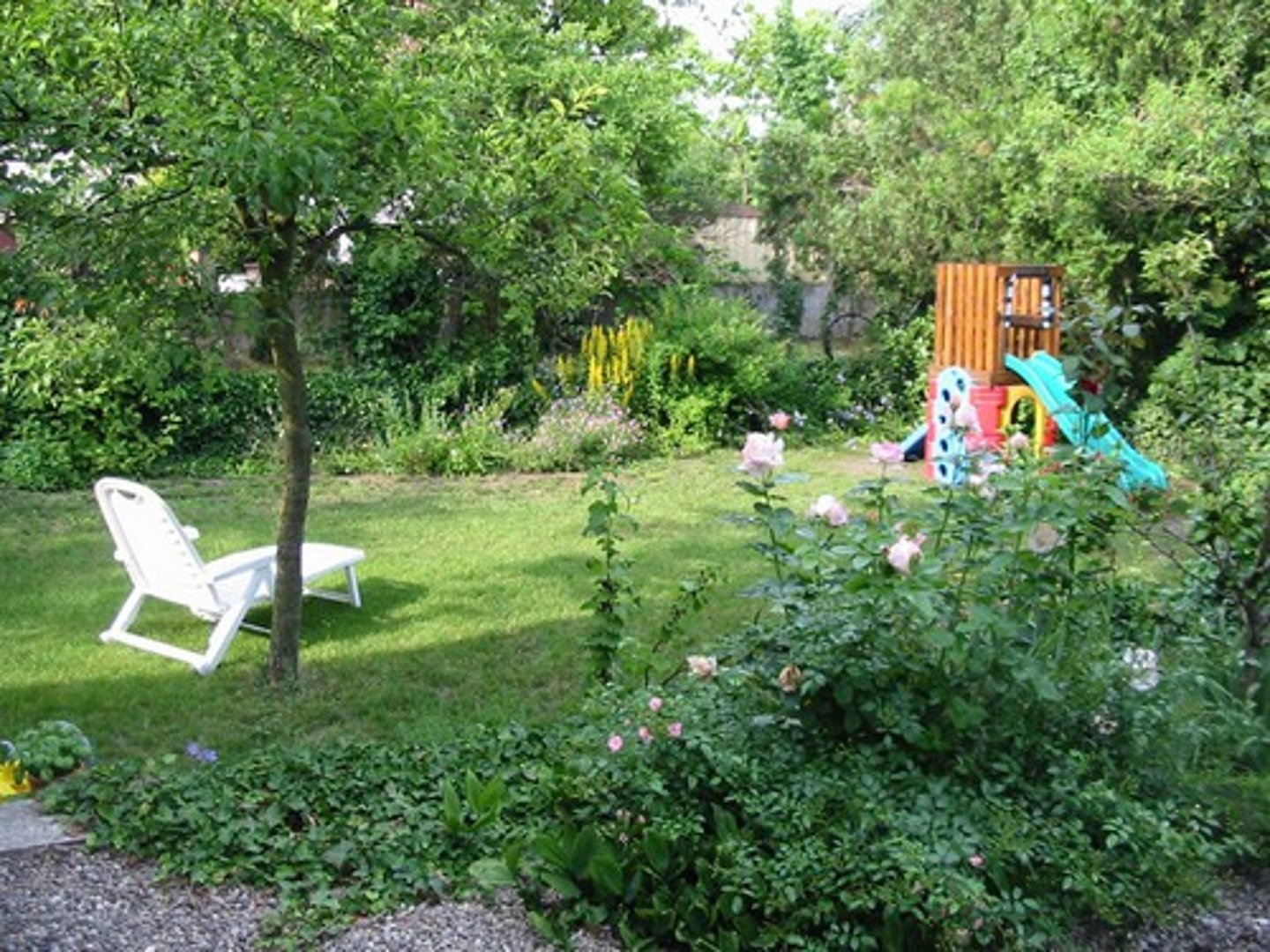 <p>a garden/yard</p>