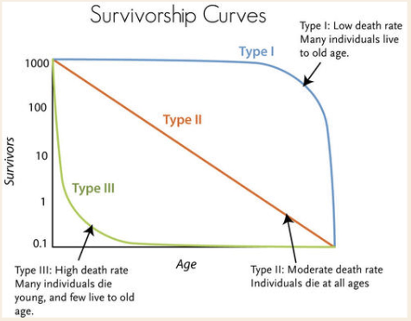 <p>represent patterns of species survival as a function of age</p><p>log scale better allows focus on per capita effects vs actual # of individuals dying</p>