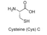 <p>Cys</p>