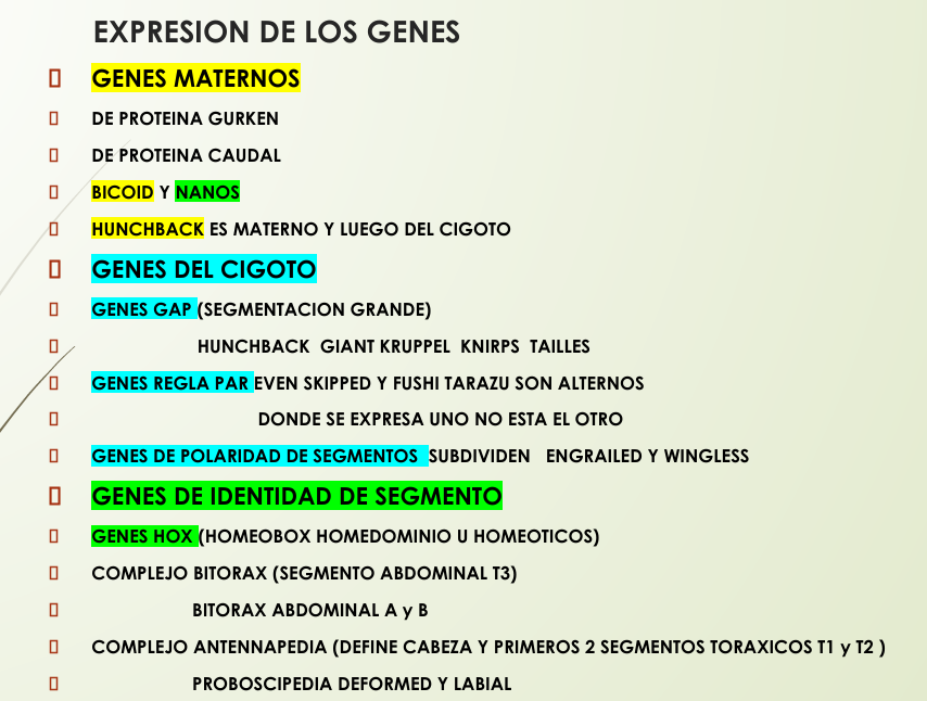 <p></p><p></p><p></p>