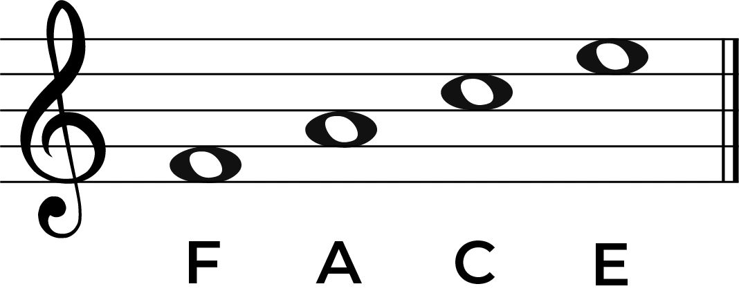 <p>FACE</p>